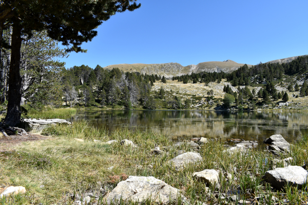 Estany_de_la_Nou